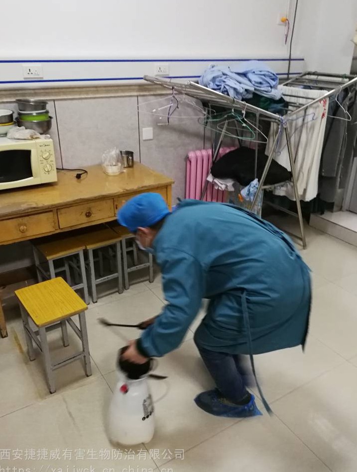 滅蟑螂公司哪家好 (86).jpg