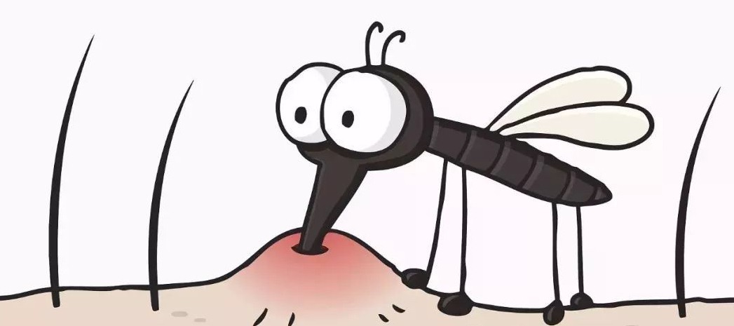 怎么有效滅殺害蟲 (6).jpeg