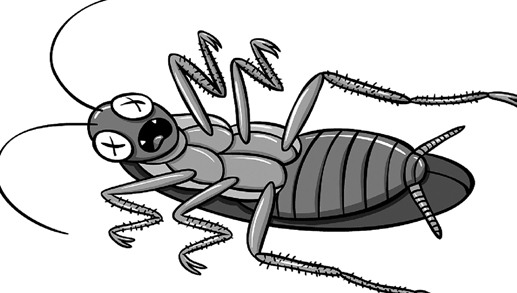 滅蟑螂公司哪家好 (934).jpg