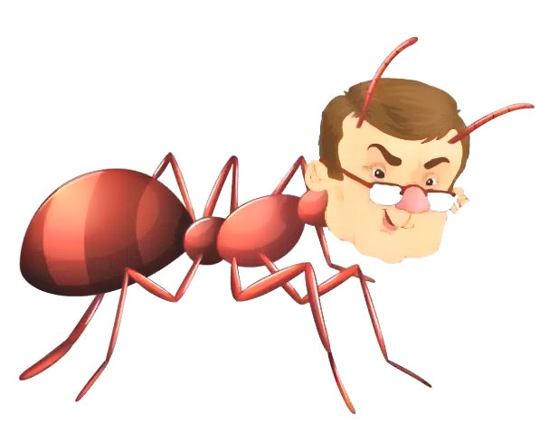 深圳殺蟲公司 (61).jpeg