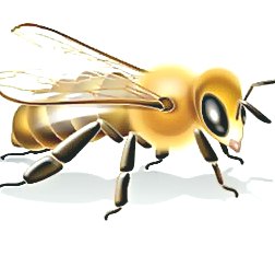 深圳殺蟲公司 (137).jpg