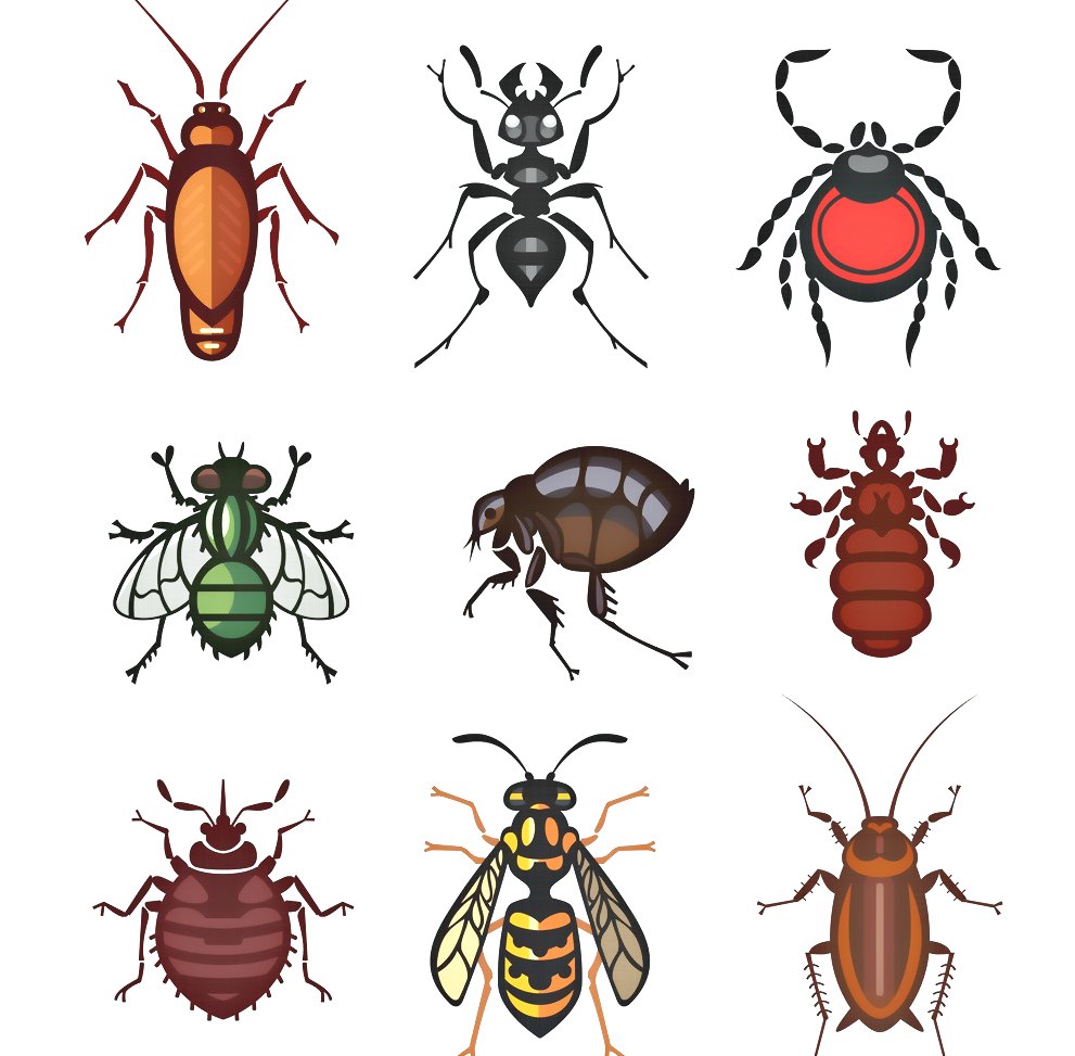 深圳殺蟲公司 (819).jpg