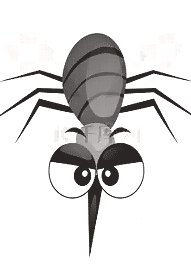 深圳殺蟲公司 (367).jpg