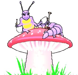 深圳殺蟲公司 (190).jpg