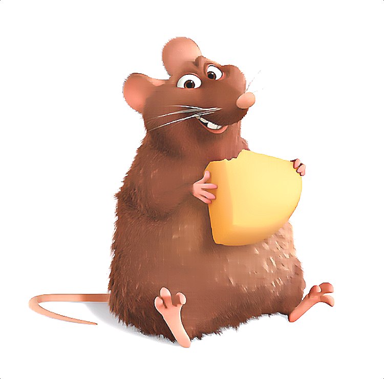 深圳滅鼠公司 (951).jpg