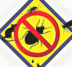 深圳殺蟲公司 (301).jpg