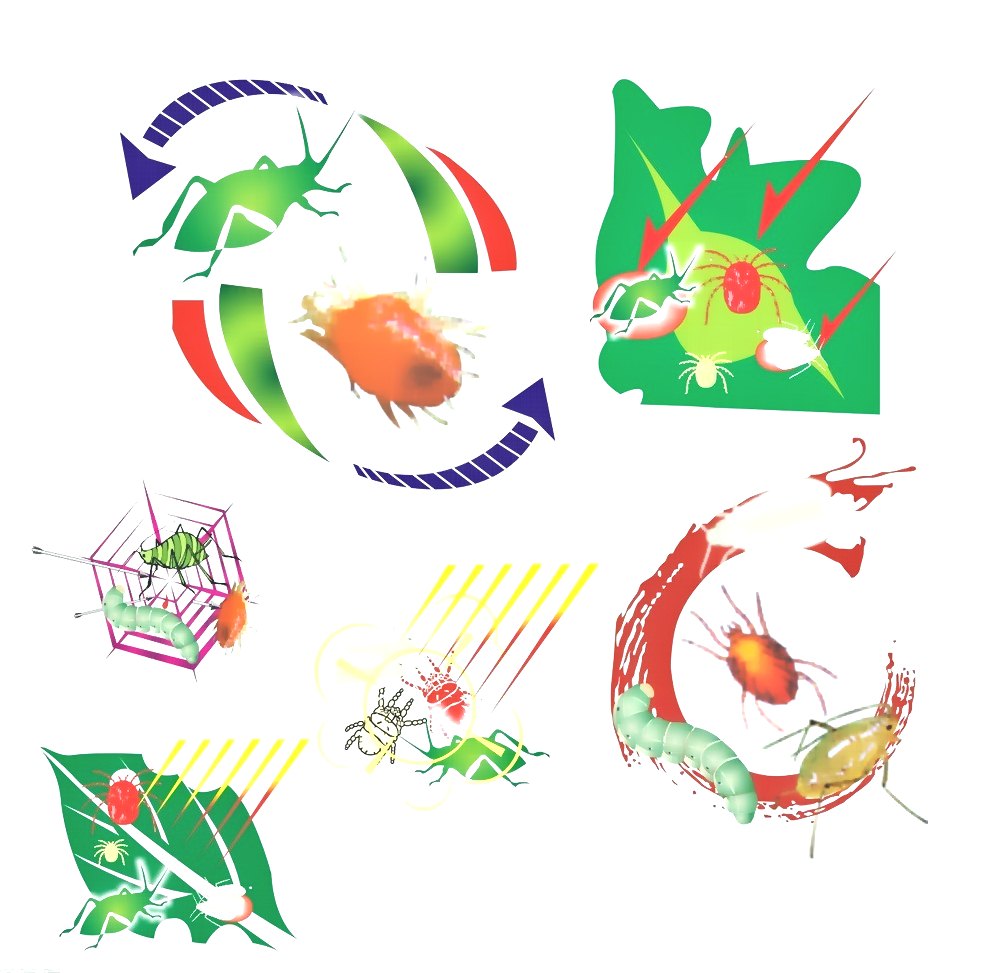 深圳殺蟲公司 (318).jpg