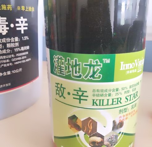 深圳殺蟲公司 (48).jpeg