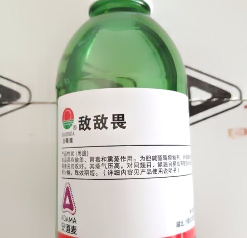 深圳殺蟲公司 (85).jpeg