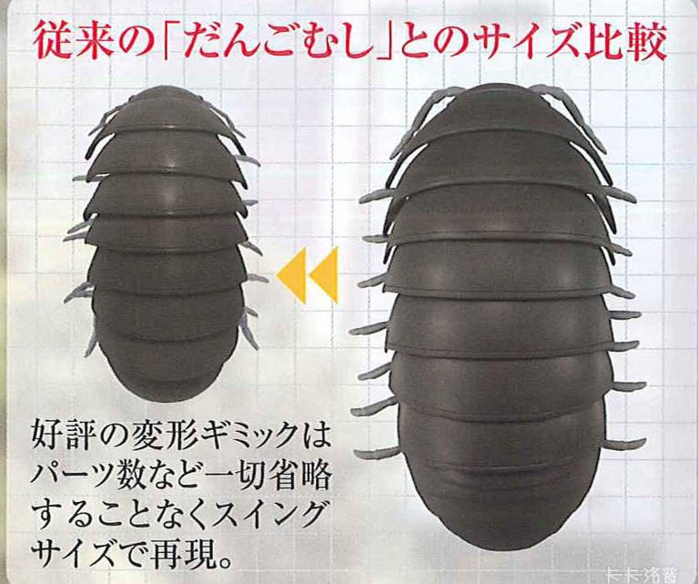 深圳殺蟲公司 (12).jpg