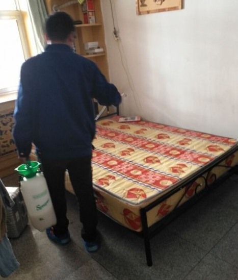 深圳殺蟲公司 (17).jpg