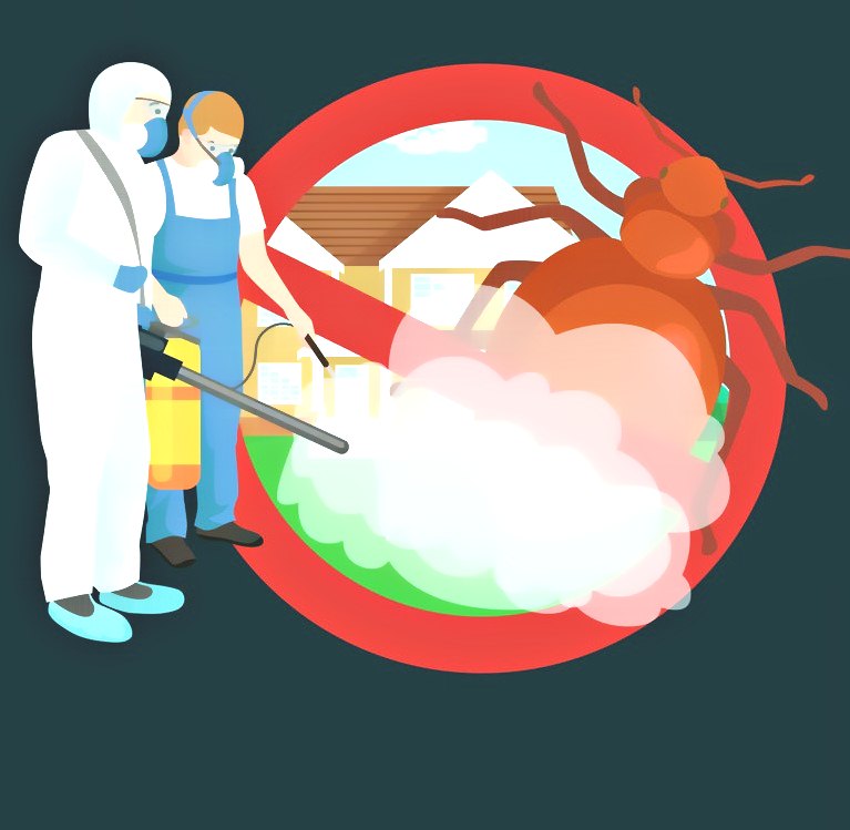 深圳殺蟲公司 (282).jpg