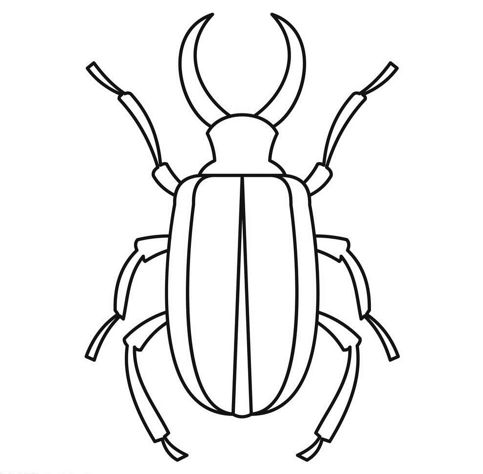 深圳殺蟲公司 (67).jpg