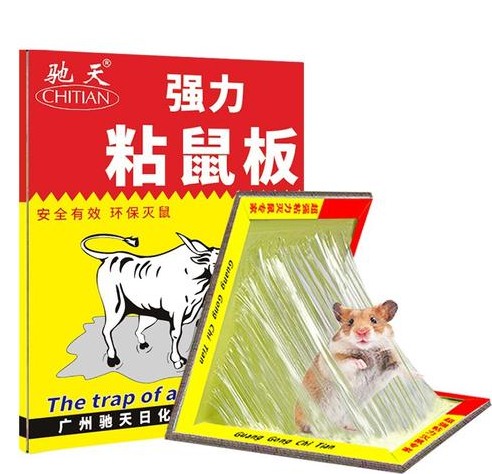 如何快速滅鼠 (3).png