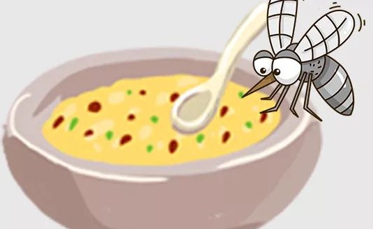 深圳殺蟲公司如何滅蚊子 (27).jpeg