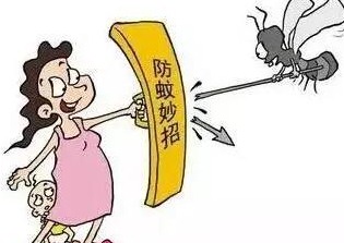 深圳殺蟲公司如何滅蚊子 (48).jpeg