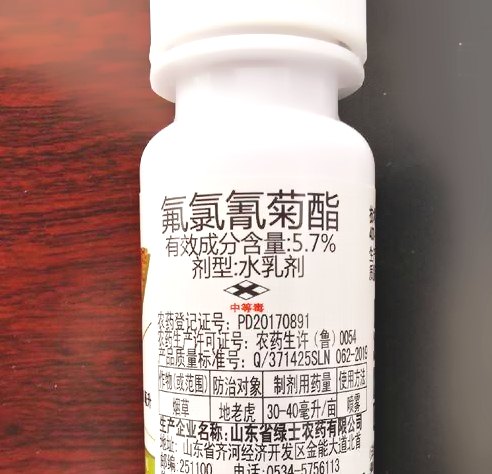 深圳殺蟲公司 (127).jpeg