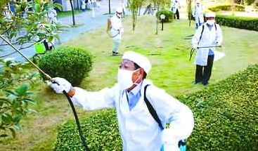 深圳殺蟲公司如何滅蚊子 (287).jpg