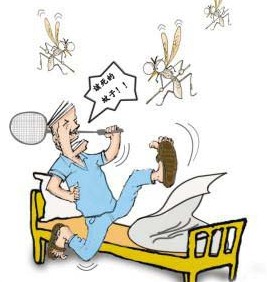 深圳殺蟲公司如何滅蚊子 (319).jpg