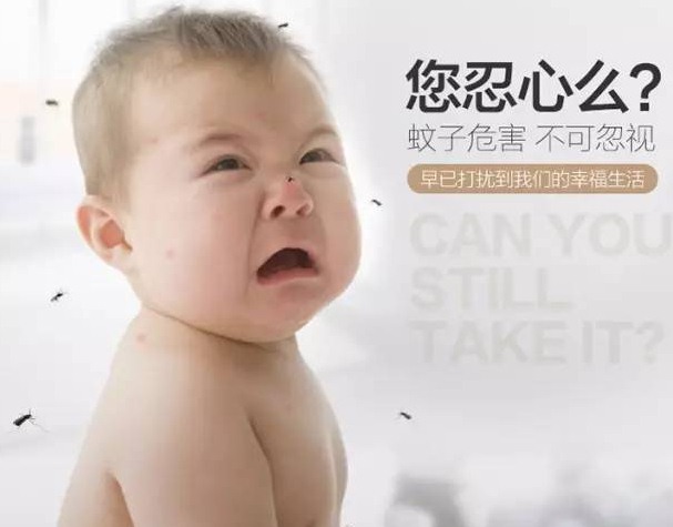 深圳殺蟲公司如何滅蚊子 (51).png