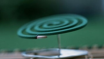 深圳殺蟲公司如何滅蚊子 (339).jpg