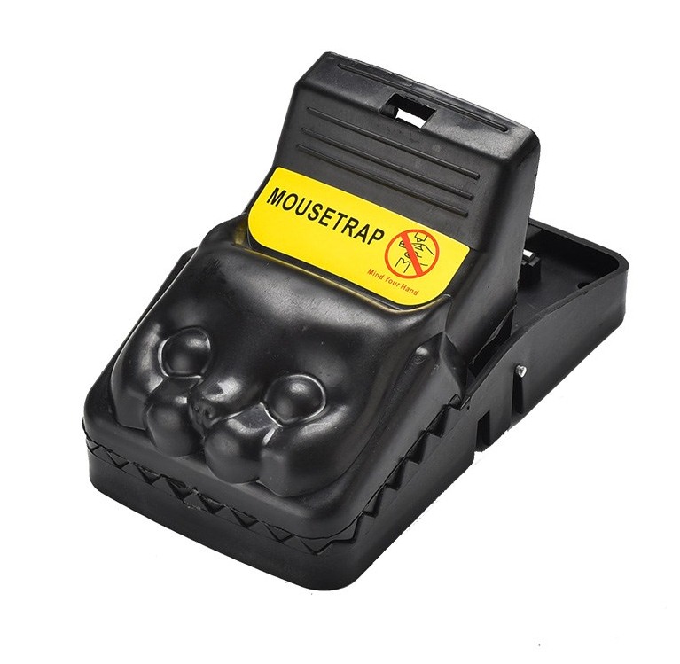 如何快速滅鼠 (147).jpg