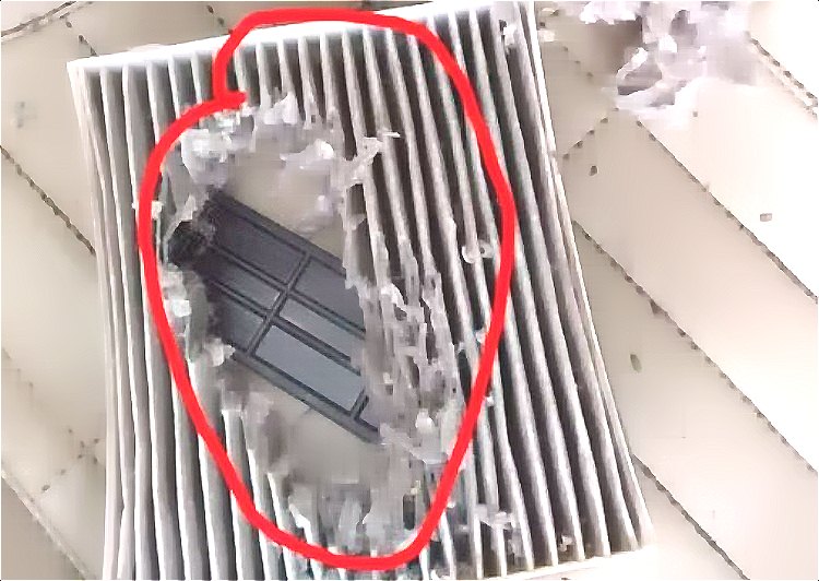 深圳滅鼠公司 (34).jpeg