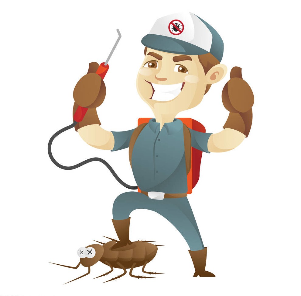 深圳殺蟲公司教您如何快速專業滅殺蟑螂 (139).jpg