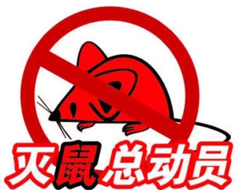 深圳滅鼠公司 如何快速有效滅鼠 (68).jpeg