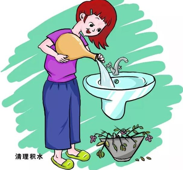 深圳殺蟲公司如何滅蚊子 (184).jpg