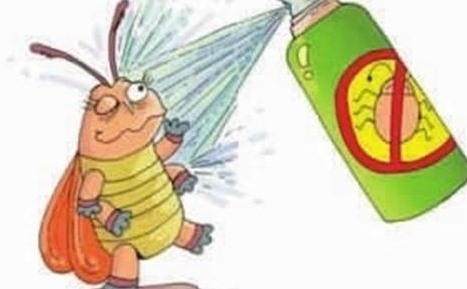 深圳滅蟑螂公司教您如何快速滅蟑螂 (2326).jpg