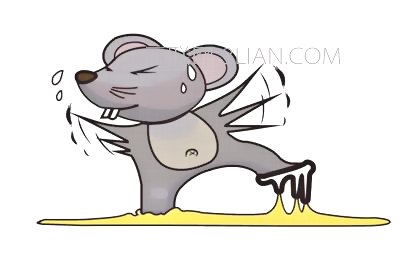 深圳殺蟲滅鼠公司教您如何除四害 (416).jpg