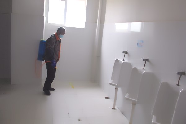 深圳殺蟲滅鼠公司教您如何除四害 (460).jpg