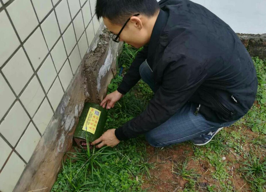 深圳滅鼠公司 如何快速有效滅鼠 (1816).jpg