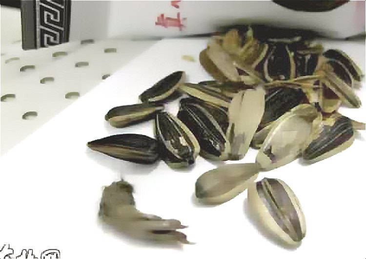 深圳滅鼠公司 如何快速有效滅鼠 (1740).jpg