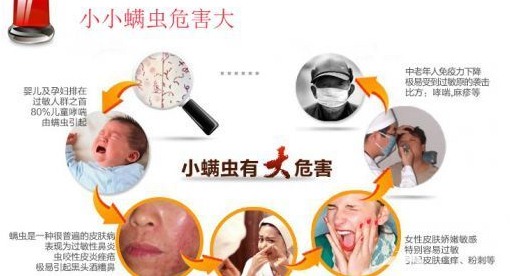 深圳殺蟲公司如何滅螨蟲除四害 (2).png