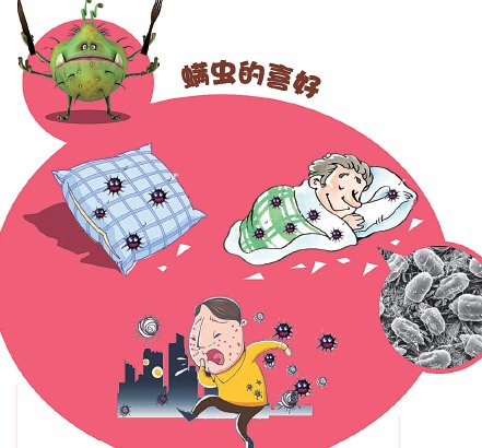 深圳殺蟲公司如何滅螨蟲除四害 (199).jpg