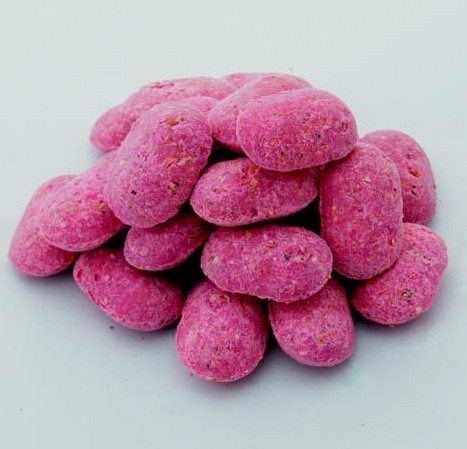 深圳滅鼠公司如何快速有效滅鼠 (468).jpg