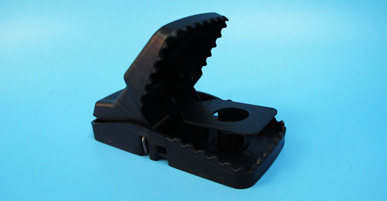 深圳滅鼠公司如何快速有效滅鼠 (205).jpg