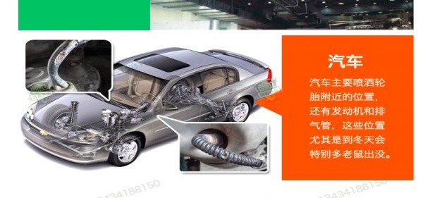 深圳消殺公司除四害滅蟑螂和老鼠 (3).gif