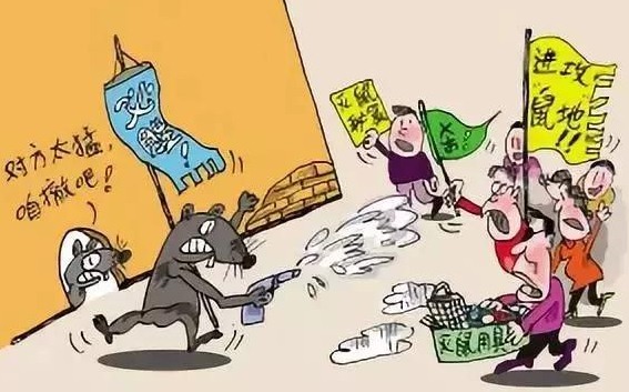 深圳滅鼠公司如何快速滅鼠 (19).jpeg