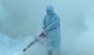 深圳殺蟲公司教您如何快速專業滅殺蟑螂 (572).jpg