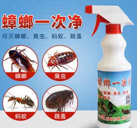 深圳殺蟲公司教您如何快速專業(yè)滅殺蟑螂 (516).jpg