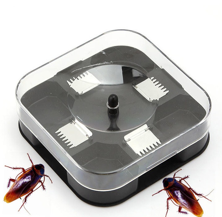 深圳殺蟲公司教您如何快速專業(yè)滅殺蟑螂 (387).jpg