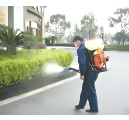 深圳殺蟲公司告訴您怎么有效滅殺害蟲 (571).jpg