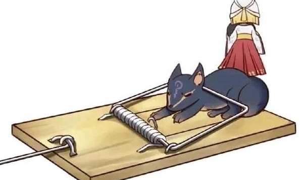 深圳滅鼠公司如何快速滅鼠粘鼠板捕鼠籠 (522).jpg